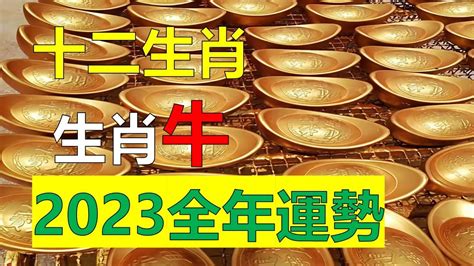 2025生肖年|12生肖2025年全年运势运程 2025年12生肖运势解析完整版